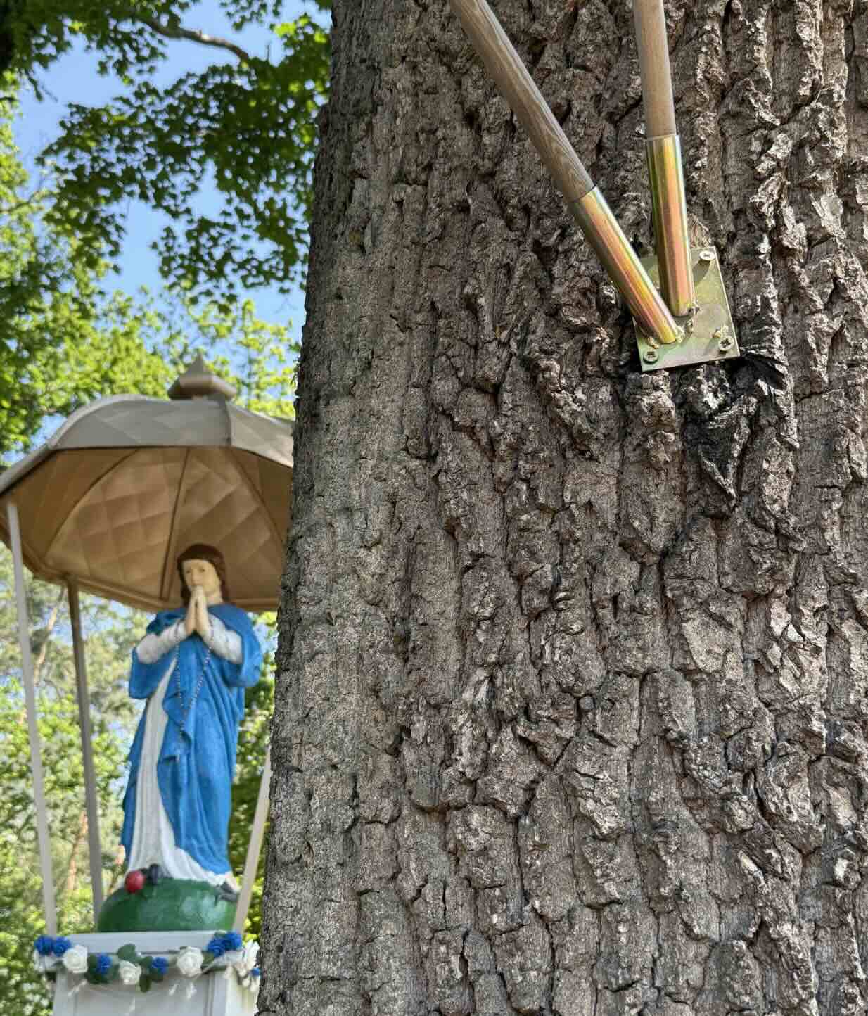 Kapliczki, kamery i drzewa